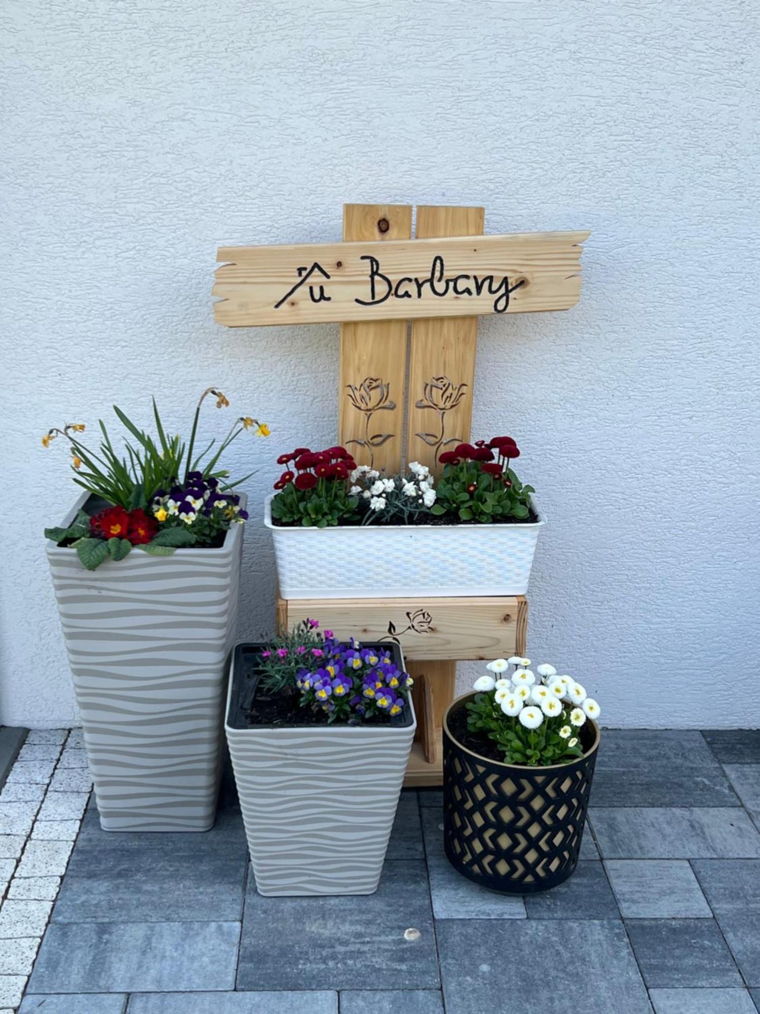 Apartment Dom Na Borowkowym Wzgorzu Palesnica
